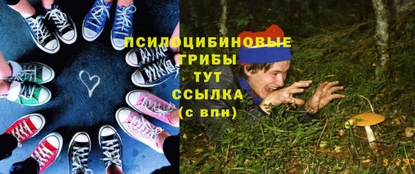 бошки Козловка