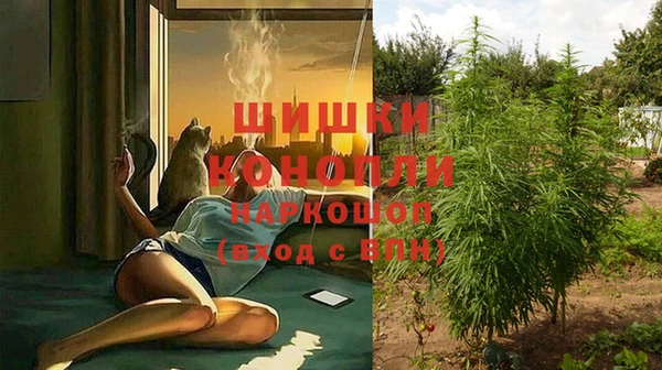 бошки Козловка
