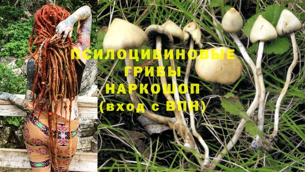 гидропоника Иноземцево
