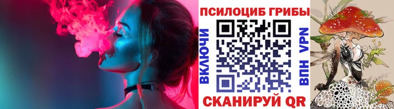 Галлюциногенные грибы Psilocybine cubensis  KRAKEN ссылка  Спасск-Рязанский 